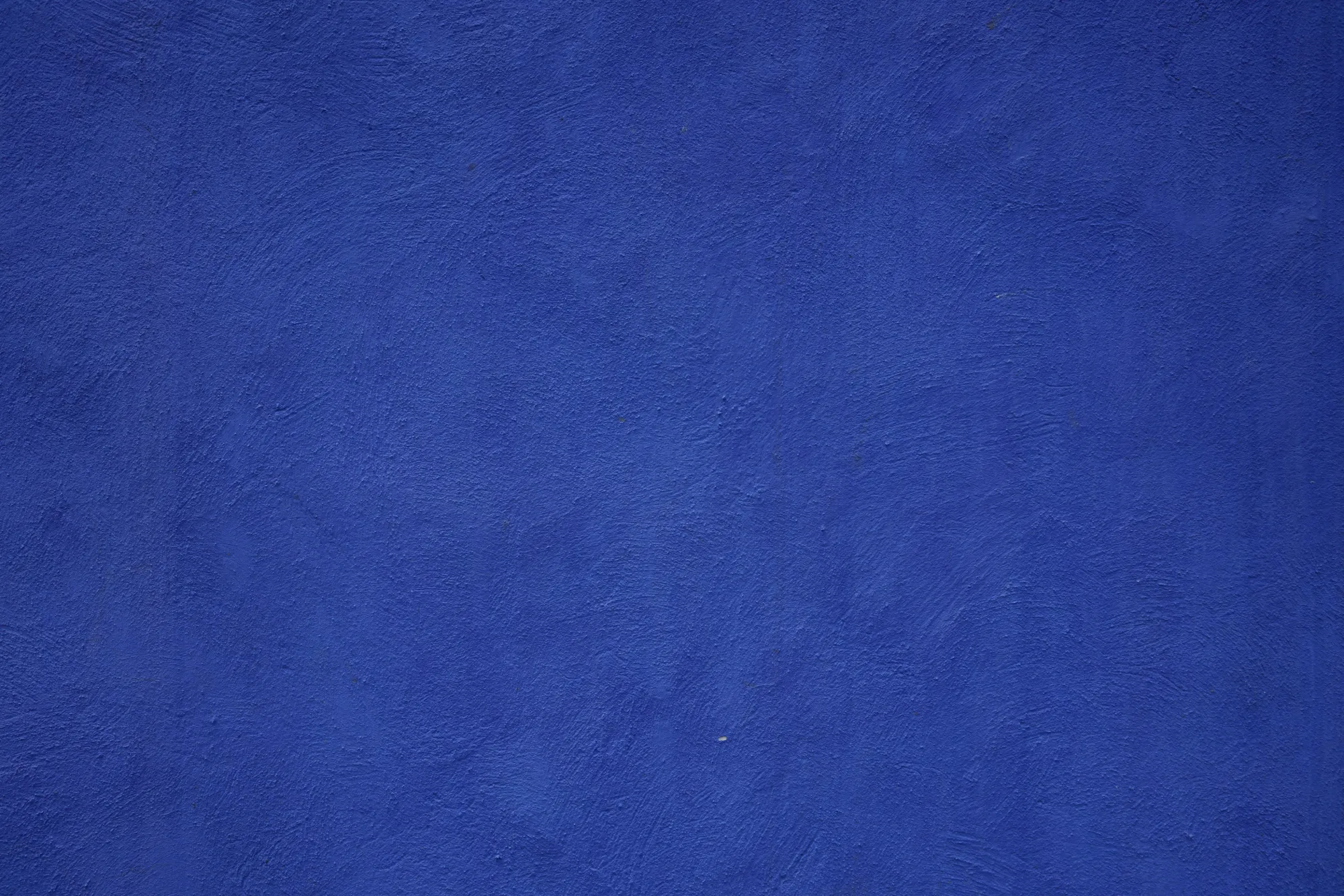 The cobalt blue wall of Museo Frida Kahlo